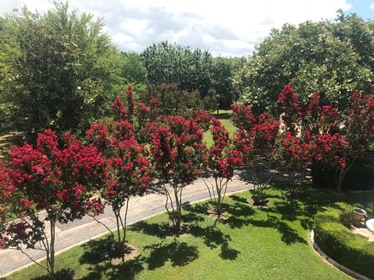 The Plantation House Boutique Inn Pflugerville Exterior foto